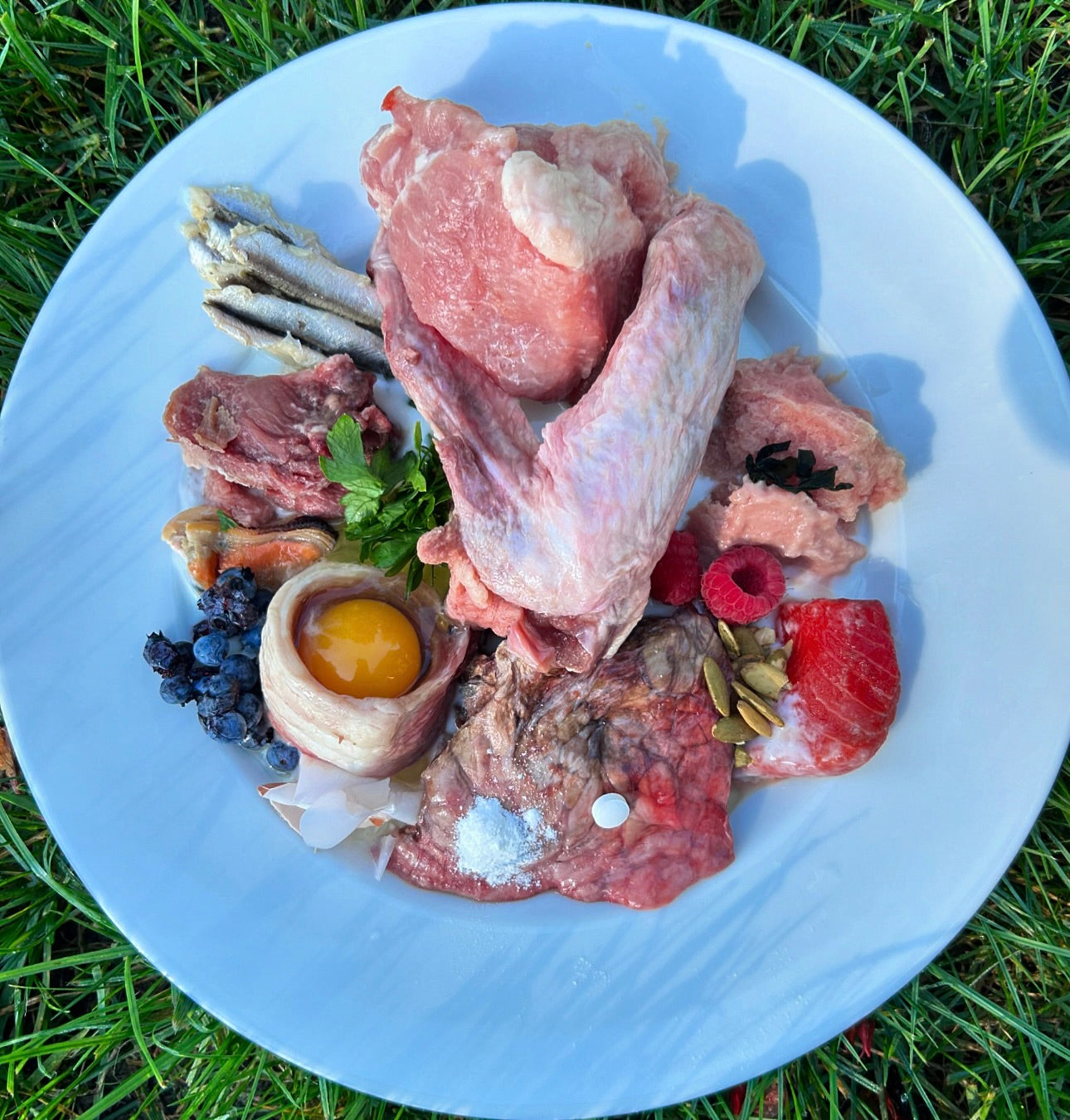 A Guide to Raw Feeding Models : BARF vs PMR