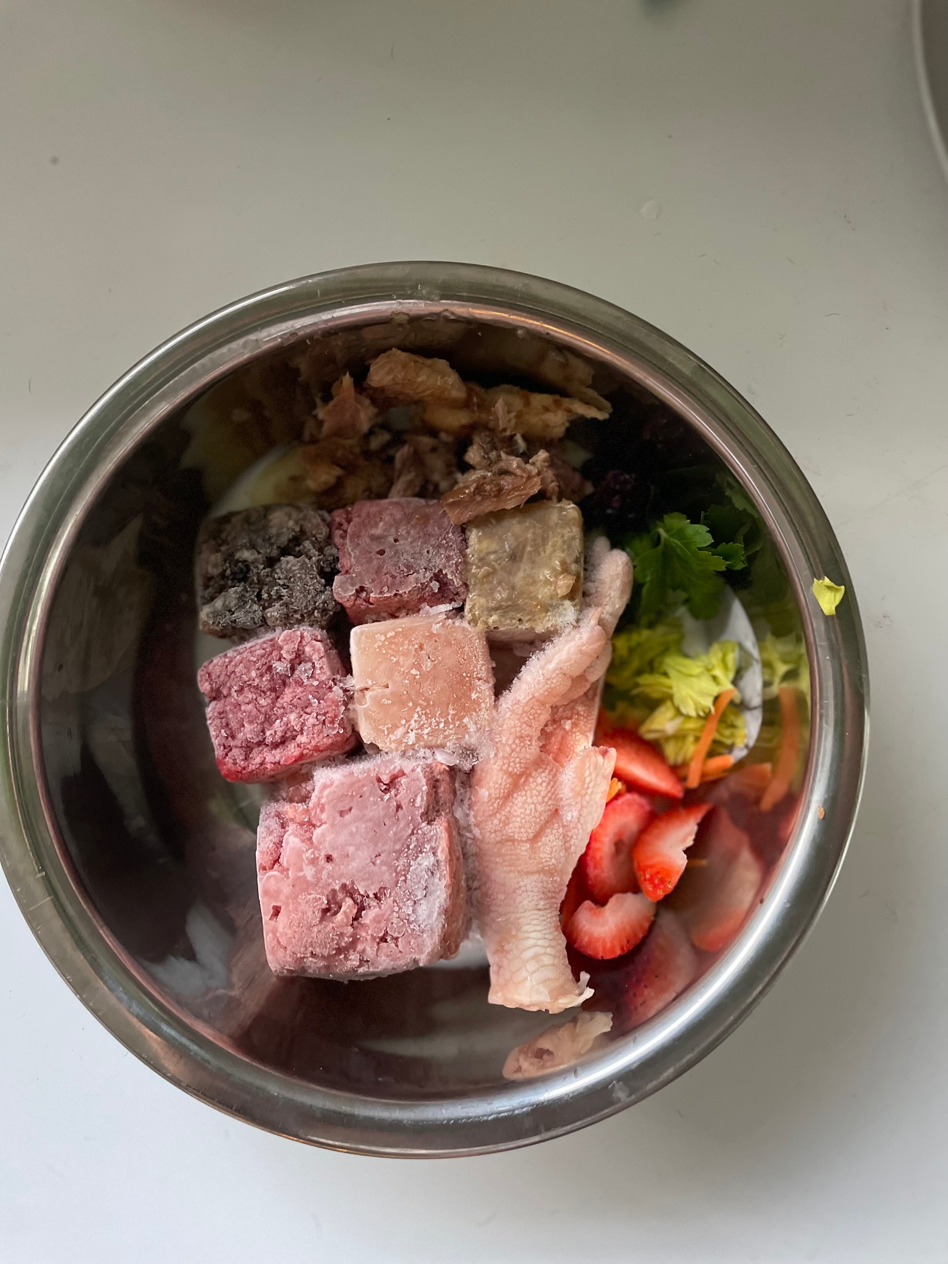 Formulated Raw Dog Food Diets for Dogs with Disease: What You Need to Know