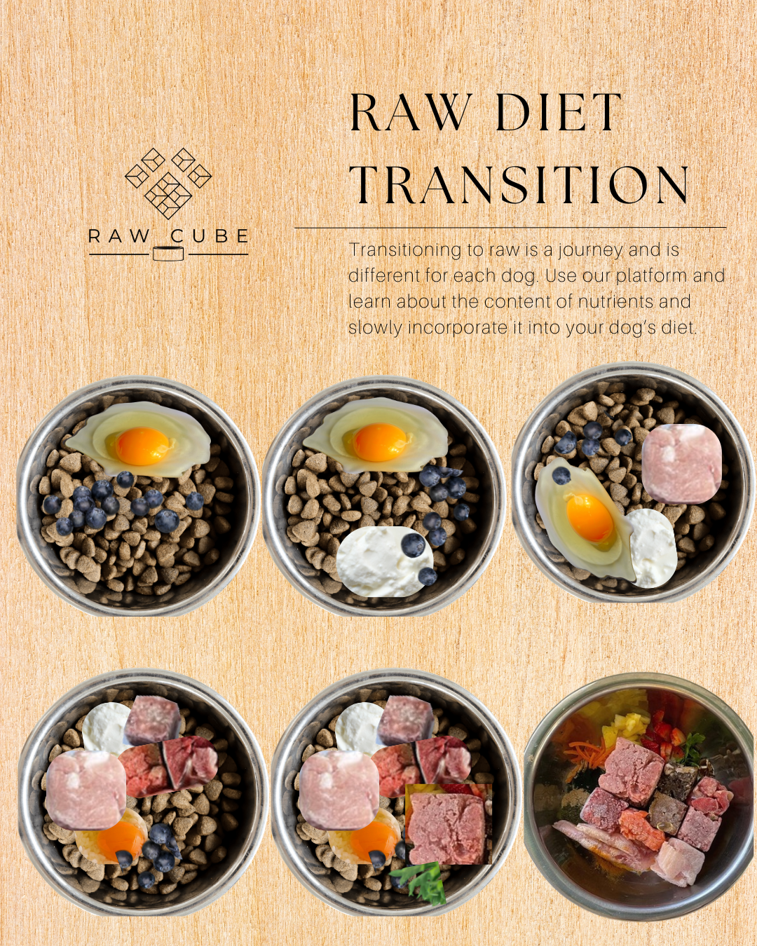 How to Transition your dog into Raw Feeding