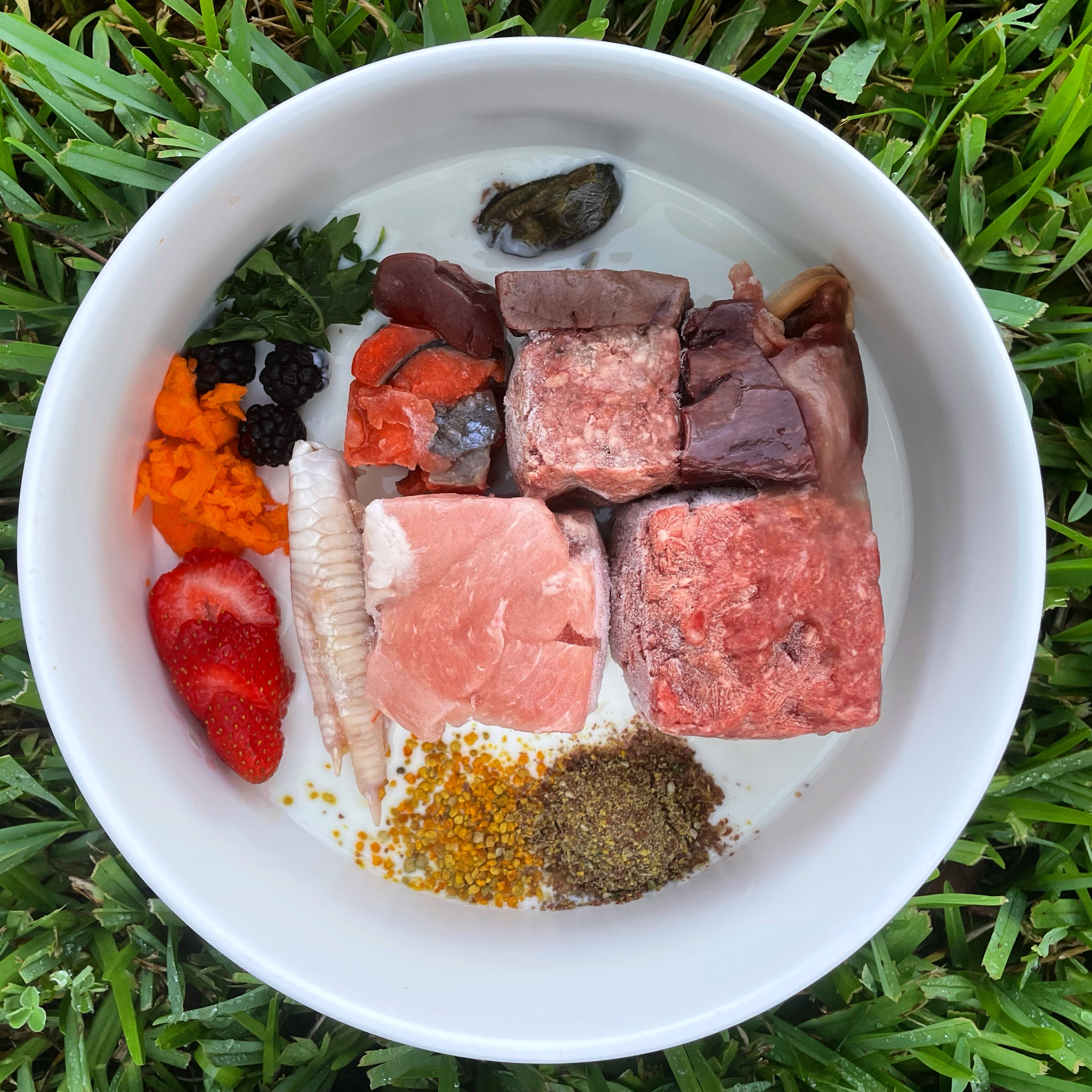 Raw Cube Molds