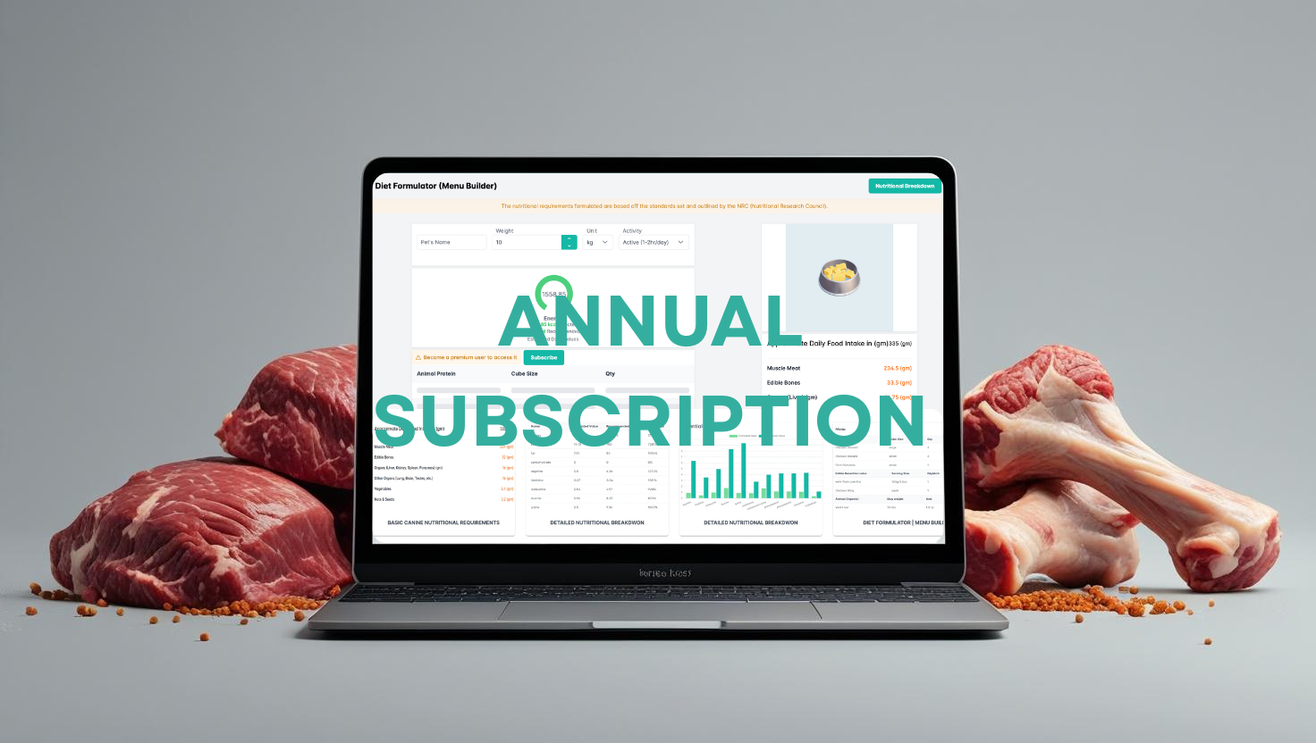 Annual Subscription